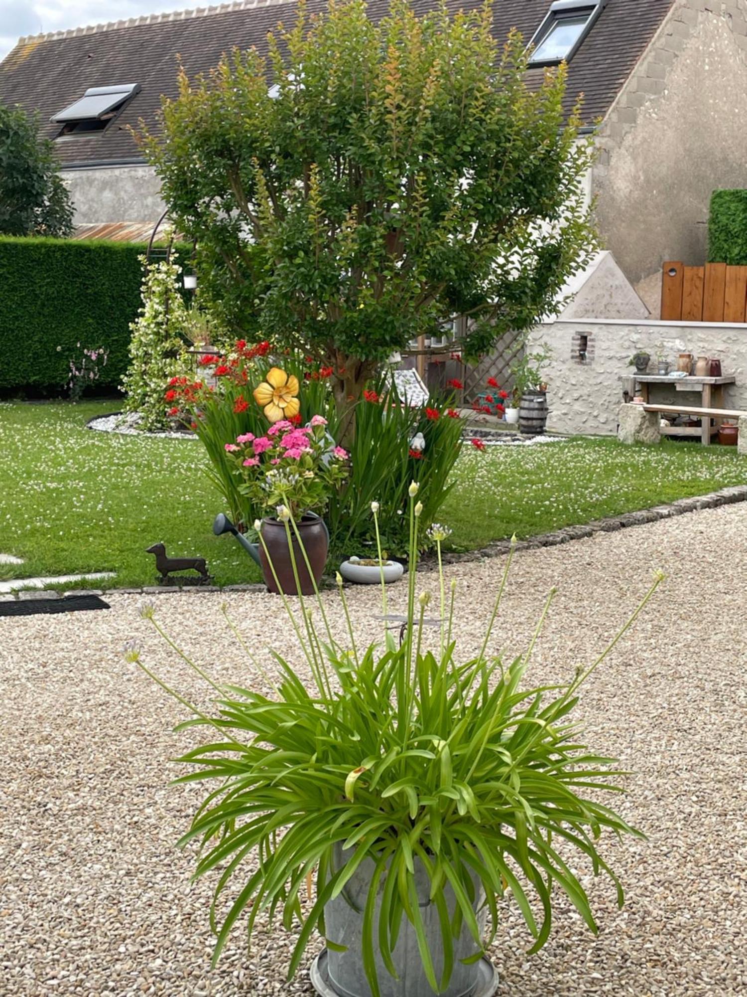 Cléry-Saint-André Le Clos Du Q'Hatre מראה חיצוני תמונה